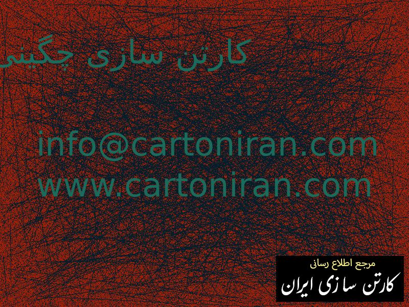 کارتن سازی چگینی